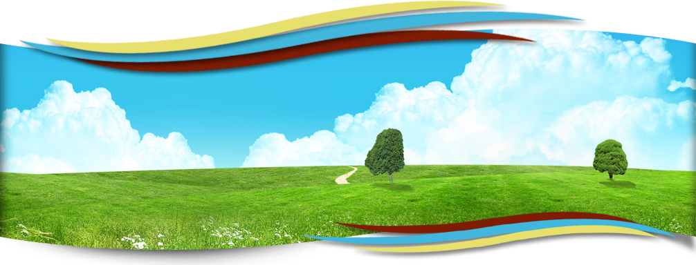 MediendesignHellmanHeaderhome