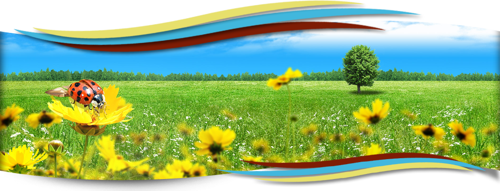 MediendesignHellmanHeaderhome