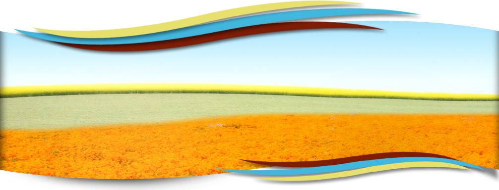 MediendesignHellmanHeaderhome