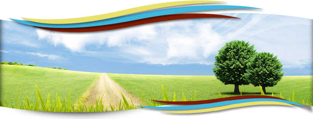 MediendesignHellmanHeaderhome