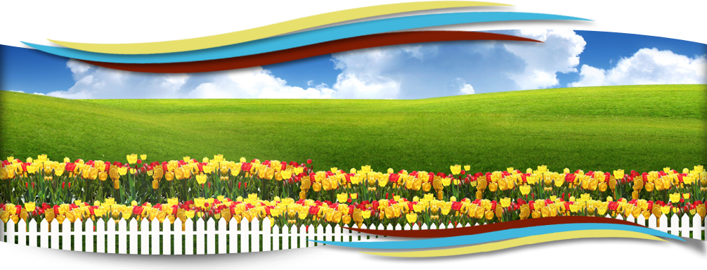 MediendesignHellmanHeaderhome